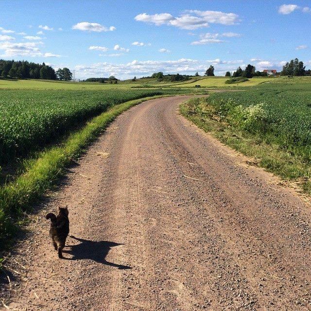 Klefstad Gård Linghem Eksteriør bilde