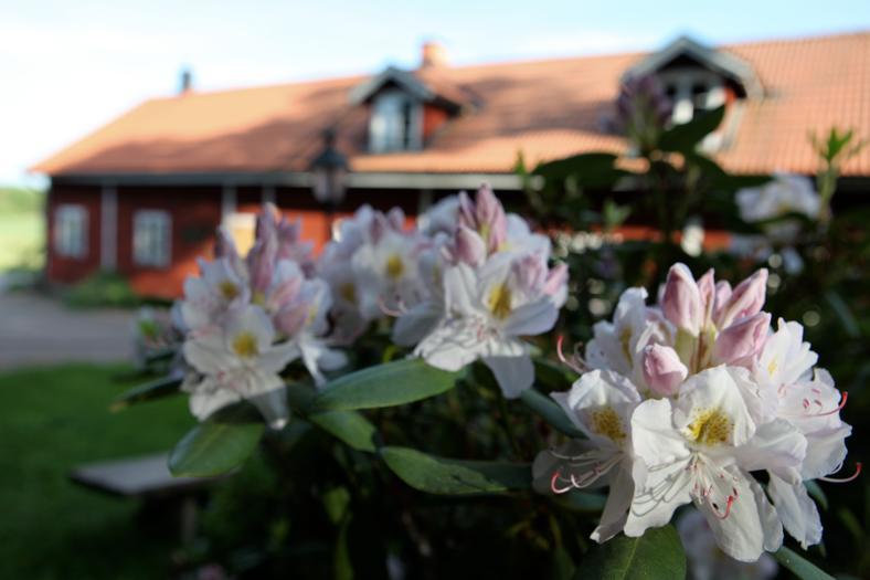 Klefstad Gård Linghem Eksteriør bilde